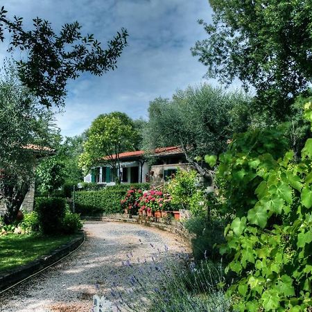 B&B Villa Mirami Saturnia Exterior foto