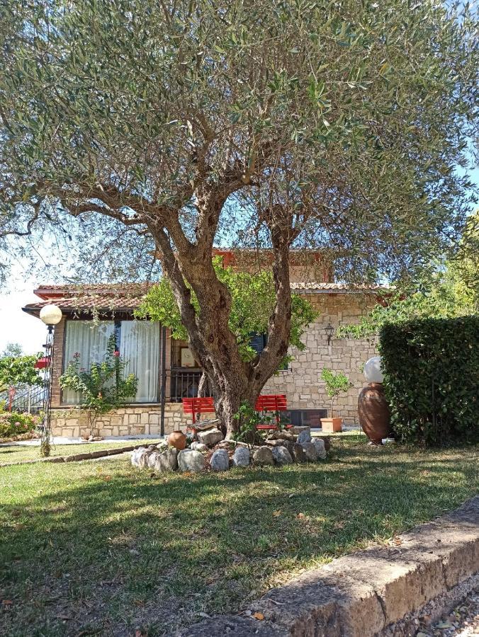 B&B Villa Mirami Saturnia Exterior foto